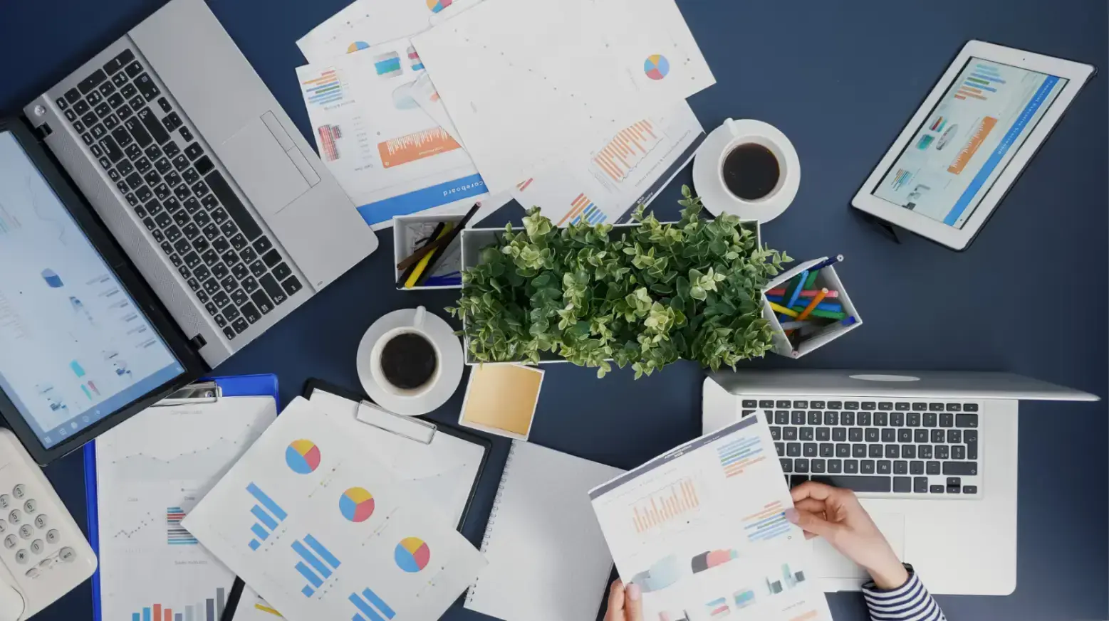 Evergreen Marketing Strategies for Long-Term Success